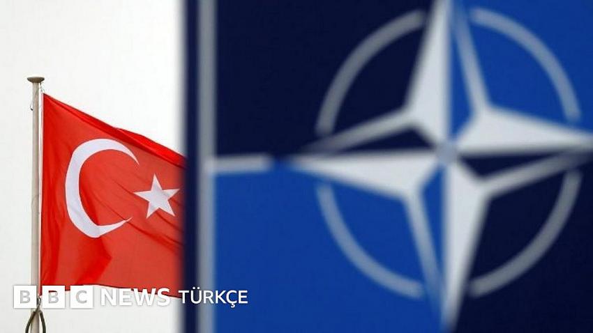 Tarihçisi Cardini: NATO lağvedilmeli