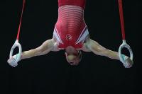 Milli cimnastikçi Asil, Avrupa şampiyonu