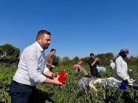 AK Parti Balıkesir il başkanı Aydemir: “Tarımda 867 Milyon TL’lik Dev Destek Hesaplara Yatıyor!