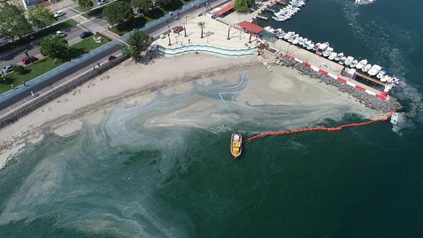 Sıcaklık Marmara'da müsilajı tetikleyebilir