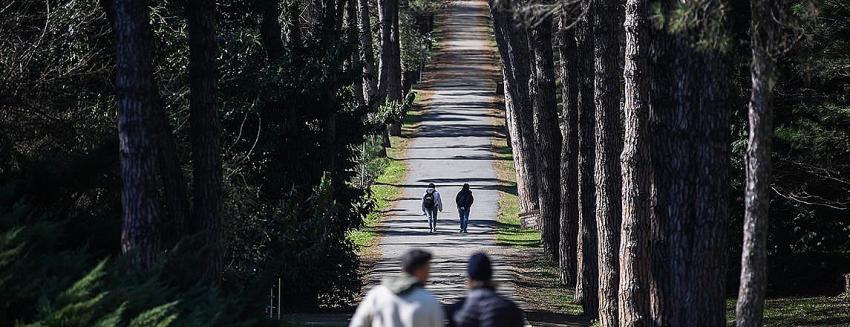 Marmara ormanlarının 2100 yılına kadarki göç haritası çıkarıldı