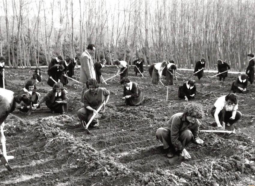 Devrim ocağından NATO işgaline: Kızılçullu