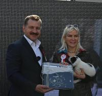 Başkan Yılmaz’dan hayvanseverlere müjde!
