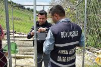 BÜYÜKŞEHİR'DEN ÇİFTÇİYE KORUMA KALKANI