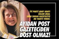 Ayıların güncesi