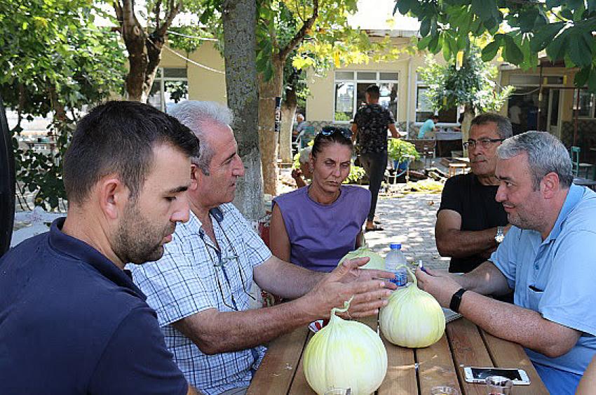 ‘Yeşil Çomlu Kavunu’na coğrafi işaret