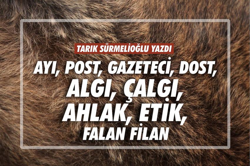 AYI, POST, GAZETECİ, DOST, ALGI, ÇALGI, AHLAK, ETİK, FALAN FİLAN