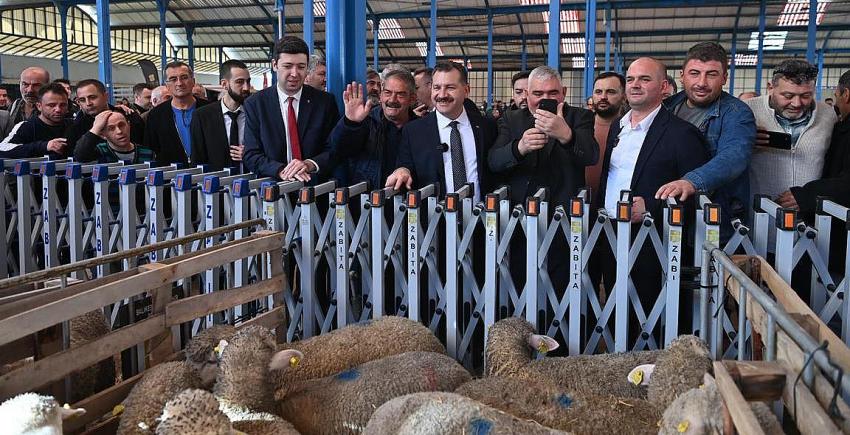 Büyükşehir, Savaştepe’de 550 küçükbaş dağıttı